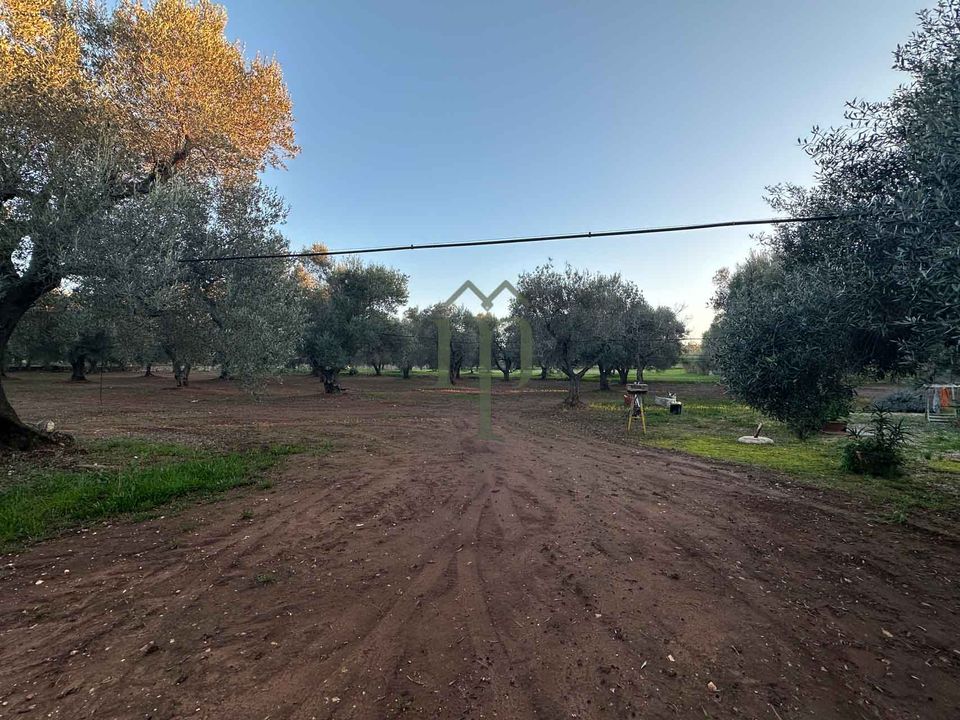 Ruin i Ostuni, Brindisi - bilde 3